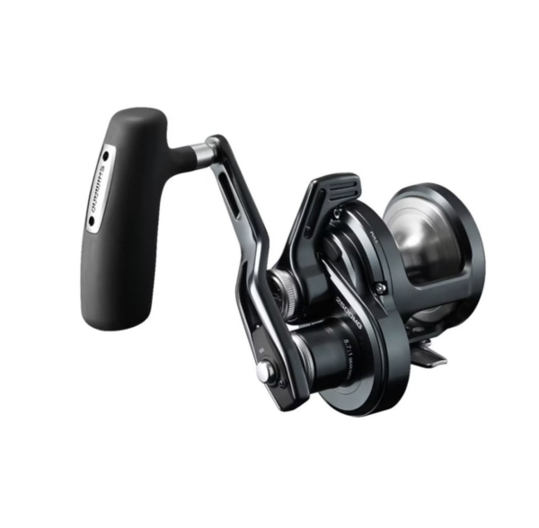 SHIMANO 24 OCEA JIGGER LD - immagine 5