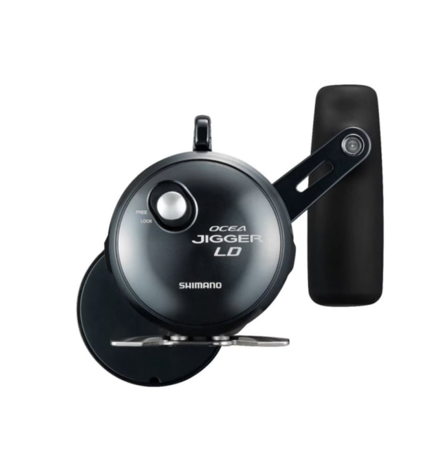 SHIMANO 24 OCEA JIGGER LD - immagine 2
