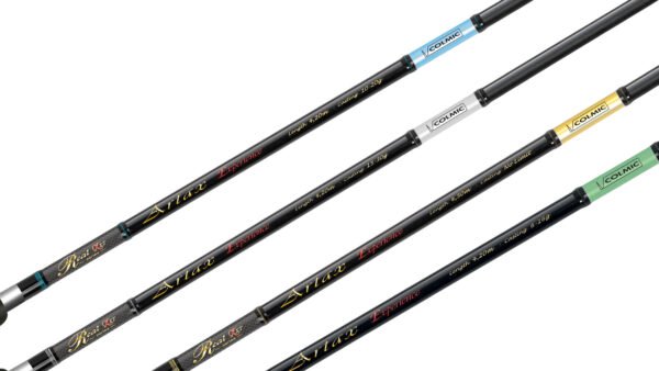 Canna Inglese Colmic ARTAX EXPERIENCE WR no limits - immagine 2