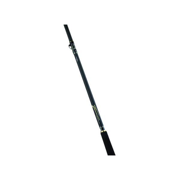 DAIWA TANACOM DEEP - immagine 2